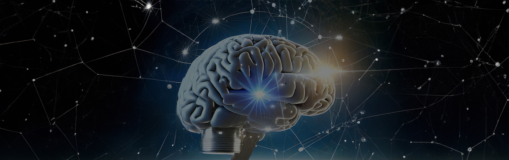 Fine-tuning Large Language Models (LLMs)