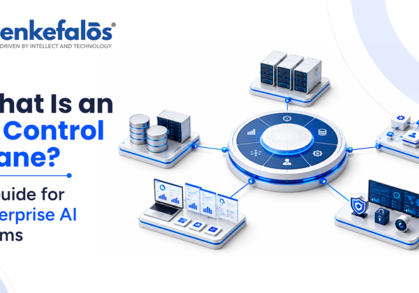 What is an AI Control Plane